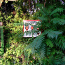 Berlin by Barbara Bouyne