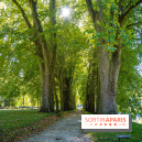 Parc et Domaine du Château de Courances