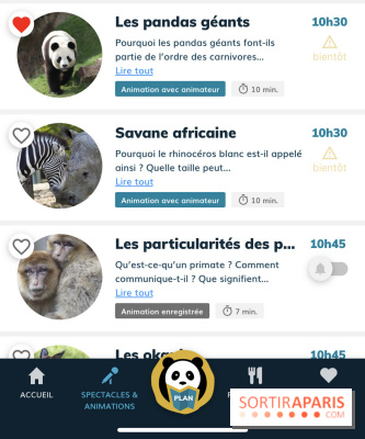Zoo Beauval, tips for visiting the park