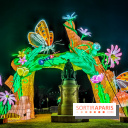 Festival des lumières 2022 au Jardin des Plantes : découvrez ces Mini-Mondes en voie d'illumination