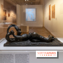 Picasso et la Préhistoire, les photos de l'exposition au Musée de l'Homme