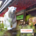 Exposition Fragiles colosses Boulevard Haussmann - photos - Michel Bassompierre -  A7C2499