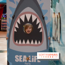 Aquarium Sea Life