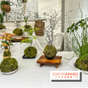 Esprit Jardin à Versailles - Marché aux plantes et animations