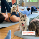 Puppy Yoga