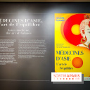 Médecines d'Asie, l'art de l'équilibre : l'exposition bien-être étonnante du musée Guimet - photos - IMG20230516102614