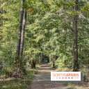 Visuel forêt