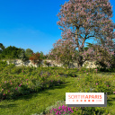 Le Jardin du Parfumeur à Versailles