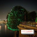 Nuit Blanche 2023 : des projections lumineuses magiques au Square du Vert Galant de l'Île de la Cité