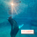 Nocturnes au Parc Zoologique de Paris - IMG 3469