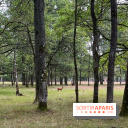 Espace Rambouillet