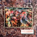 Poetry of Earth de Maya Rochat
