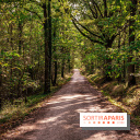 Le sentier des Maréchaux à Senlisse - Vallée de Chevreuse -  départ