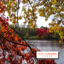 Bassin - étang de la Boissière à Elancourt