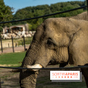 Les lodges de Thoiry - dormir à Thoiry en Terres d'Afrique - Photos -  A7C3226