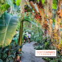 Automne Tropical 2023