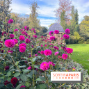 Le parc Montsouris - nos photos