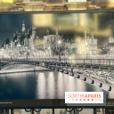 Exposition Paris s'illumine