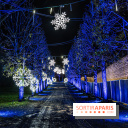 Lumières en Seine au Parc de Saint-Cloud 2023, le parcours de lumières -  A7C7314