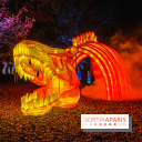 Odyssée Lumineuse, le festival des lumières au Parc Floral - IMG 2527