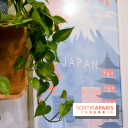 Cellar, le restaurant gourmet pour une gastronomie française aux accents japonais