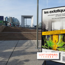 Les Extatiques dans les souterrains de Paris La Défense, nos photos - 20240129 143703