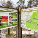 Le sentier de l'érosion à Fontainebleau - balade en forêt - IMG 6595