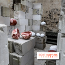 Suivre les ondes, nos photos de l'expo à l'Institut suédois - IMG 2948