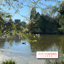 Lac de Saint-Mandé - nos photos - WhatsApp Image 2024 03 22 à 16.15.39 86c32a56