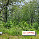 Arboretum de la Roche-Guyon - nos photos - image00015