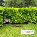 Le Jardin du Yoga à la Roche-Guyon - nos photos - image00018