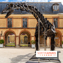 Un dinosaure géant au Château de Dampierre - Jurassique au Château de Dampierre -  A7C8899