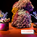 “Forêts astrales” : nos photos de l'exposition gratuite à voir à l'Institut suédois à Paris