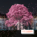 Vincennes, Château de Lumières - Nuits de lumière