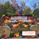 Les Esprits de la Forêt