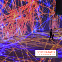 Pixels au Grand Palais Immersif : nos photos de l'exposition qui mêle art numérique et IA - IMG 0962