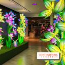 Les vitrines de Noël 2024 de la Samaritaine : Thoiry Lumières Sauvages envahit le grand magasin - Les vitrines de Noël 2024 de la Samaritaine : Thoiry Lumières Sauvages envahit le grand magasin   image00030   1125751