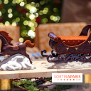 La Bûche de Noël 2024 et créations de Fête du Cheval Blanc par Maxime Frédéric et son équipe -  A7C6314