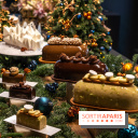 Les bûches de Noël de Jeffrey Cagnes 2024 - photos -  A7C6432