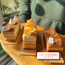 Bûches 2024 Land&Monkeys - IMG 7481