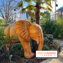 Square de la Jungle - nos photos