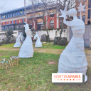 Exposition Silva Lumina au Centre Culturel Irlandais  - fotor 1738780361416