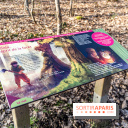 Balade sentier : Conte de Mélida, l'esprit de la forêt en forêt de Méridon (78) - A7C02306