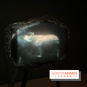 Paysages mouvants