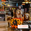 Lumigny Safari Reserve - nos photos - image00053