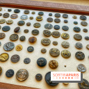 Collection dédié aux chiens - IMG 2308