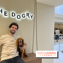 The Dogry