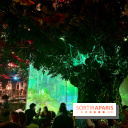 Wonderwoods
