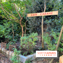 Jardin Junot - nos photos - C3FEB4B5 A809 4735 9556 EBC80F990FF7