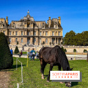 Tous en piste ! à Maisons-Laffitte (78): poneys, calèche et spectacles équestres gratuits au château - IMG 8275 jpg